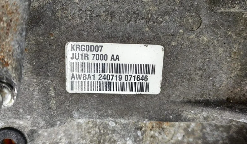 RENAULT TRAFIC II Minibus / passenger JL gearbox 84 kW 2019 pieno